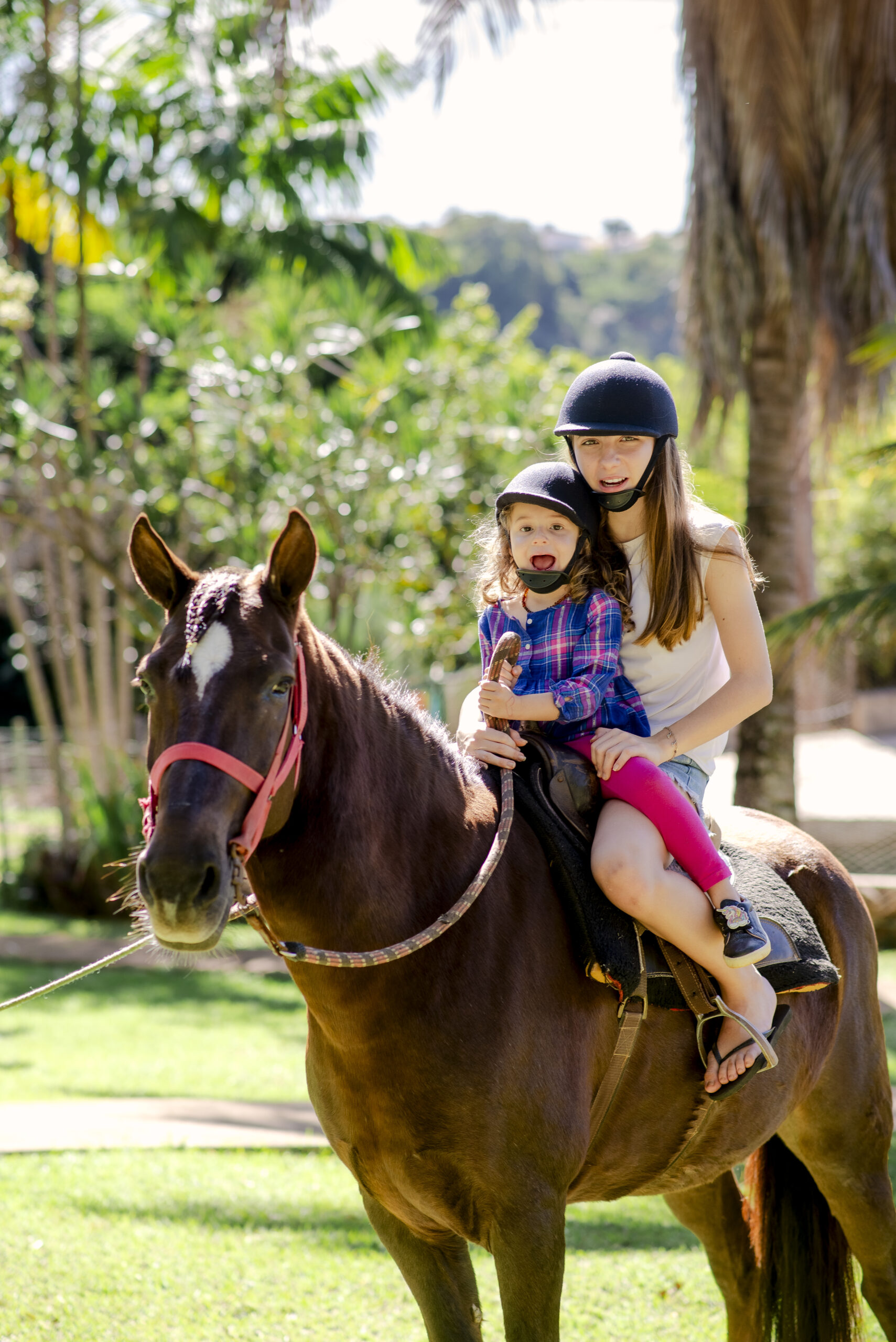 Passeio a cavalo