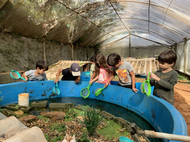 Criança na atividade com os peixes